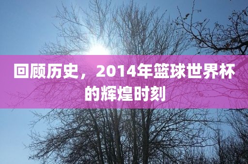 回顾历史，2014年篮球世界杯的辉煌时刻丹东日丰电子有限公司