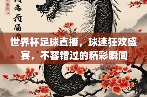世界杯足球直播，球迷狂欢盛宴，不容错过的精彩瞬间