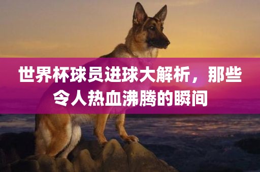 世界杯球员进球大解析，那些令人热血丹东日丰电子有限公司沸腾的瞬间