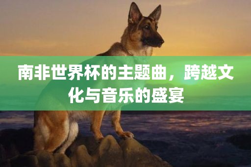 zhouzuoda 第8页