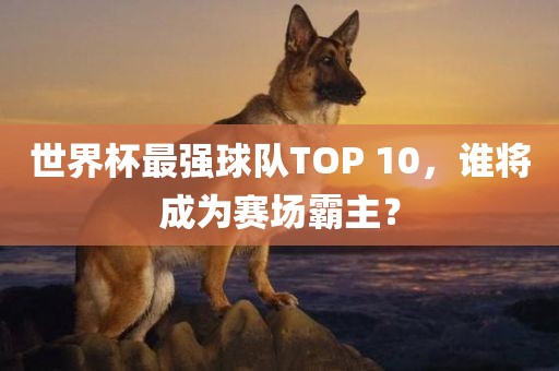 世界杯最强球队TOP 10，谁将丹东日丰电子有限公司成为赛场霸主？