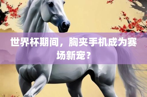 世界杯期间，胸夹手机成为赛场新宠丹东日丰电子有限公司？