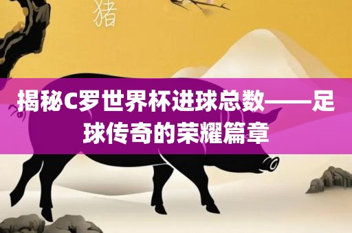 揭秘C罗世界杯进球总数——足球传奇的荣耀篇章丹东日丰电子有限公司
