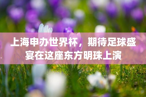 上海申办世界杯，期待足球盛宴在这座东方丹东日丰电子有限公司明珠上演
