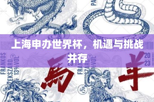 上海申办世界杯，机遇与挑战并存丹东日丰电子有限公司