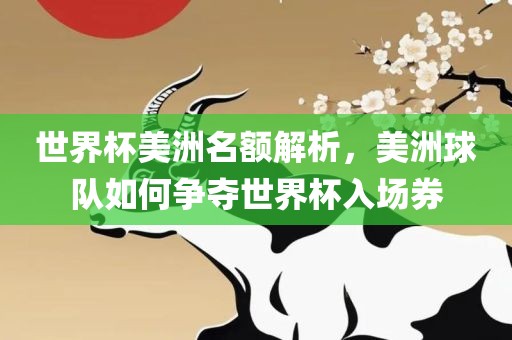 世界杯美洲名额解析，美洲球队如何争夺世界杯入场券丹东日丰电子有限公司