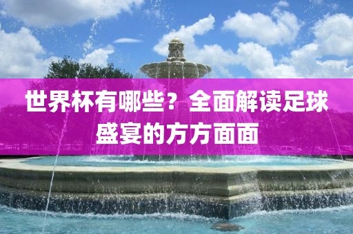 世界杯有哪些？全面解读足球盛宴的方方面面