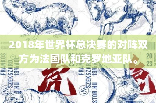 2018年世界杯总决赛的对阵双方为法国队和克罗地亚队。丹东日丰电子有限公司