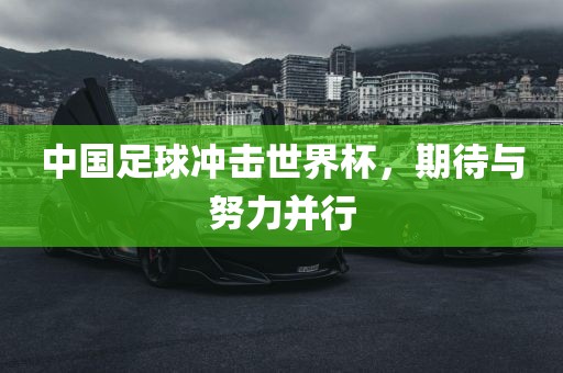 中国足球冲击世界杯，期待与努力并行丹东日丰电子有限公司