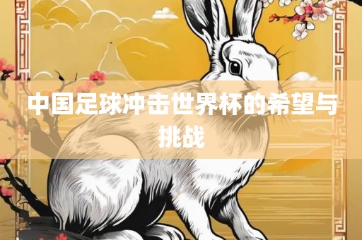 中国足球冲击世界杯的丹东日丰电子有限公司希望与挑战