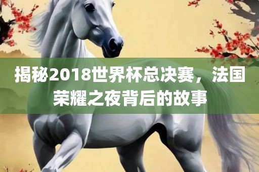 揭秘2018世界杯总决赛，法国荣耀之夜背后的故事