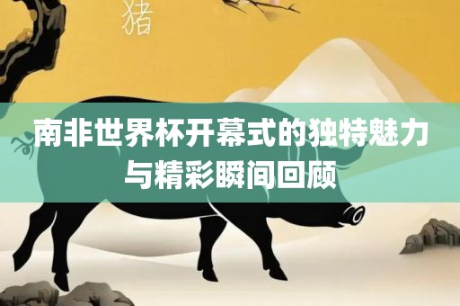 南非世界杯开幕式的独丹东日丰电子有限公司特魅力与精彩瞬间回顾