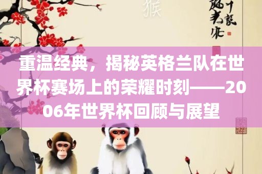 重温经典，揭秘英格兰队在世界杯赛场上的荣耀时刻——2006年世界杯回顾与展望