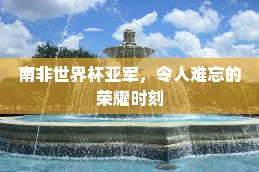 南非世界杯亚军丹东日丰电子有限公司，令人难忘的荣耀时刻