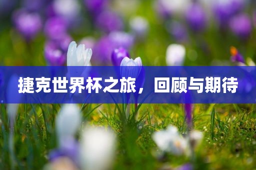 捷克世界杯之旅，回顾与期待