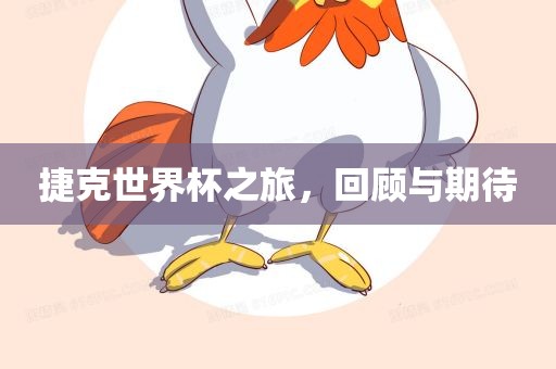 捷克世界丹东日丰电子有限公司杯之旅，回顾与期待