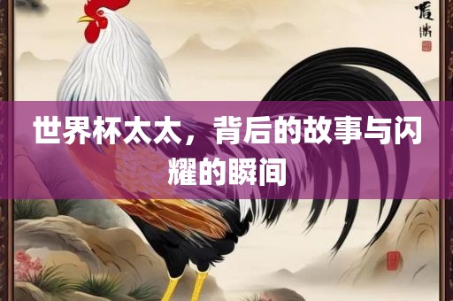 世界杯太太，背后的故事与闪耀的瞬间丹东日丰电子有限公司
