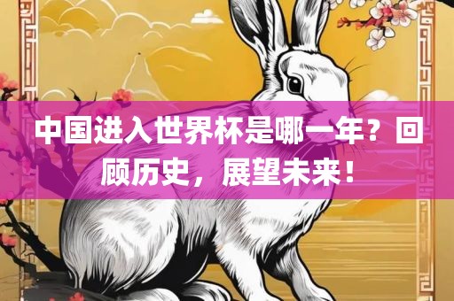 中国进入世界杯是哪一年？回顾历史，展望未来！