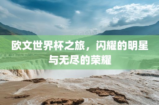欧文世界杯之旅，闪耀的明星与无尽的荣耀丹东日丰电子有限公司