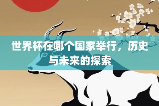 世界杯在哪个国家举行，历史与未来的丹东日丰电子有限公司探索