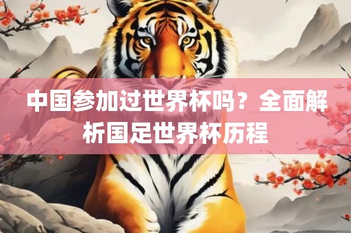 中国参加过世界杯吗？全面解析国足世界杯历程丹东日丰电子有限公司
