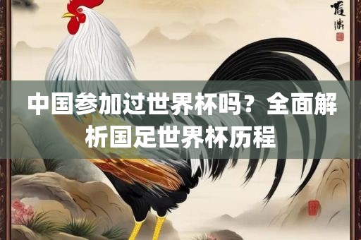 中国参加过世界杯吗？全面解析国足世界杯历程