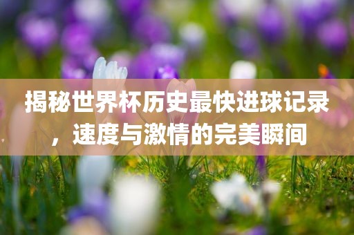 揭秘世界杯历史最快进球记录，速度与激情的完美瞬间丹东日丰电子有限公司
