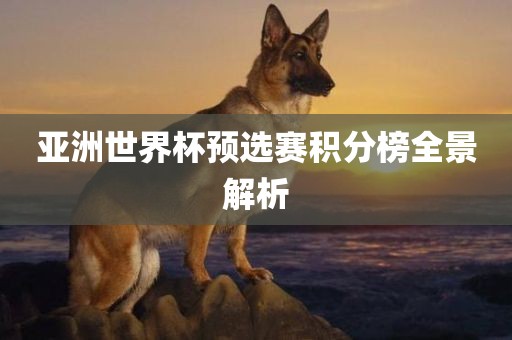 亚洲世界杯预选赛积分榜全景解析