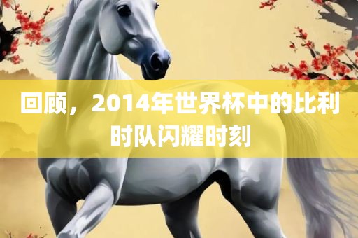 回顾，2014年世界杯中的比利时队闪耀时刻丹东日丰电子有限公司