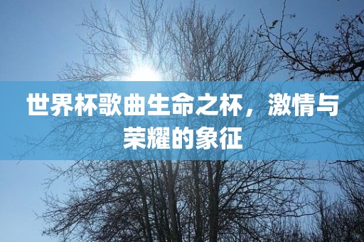 世界杯歌曲生命之杯，激情与荣耀的象征