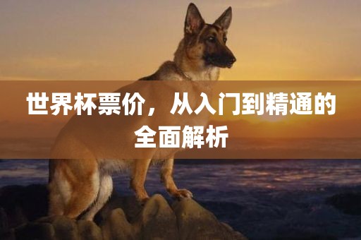 linzizhu 第6页