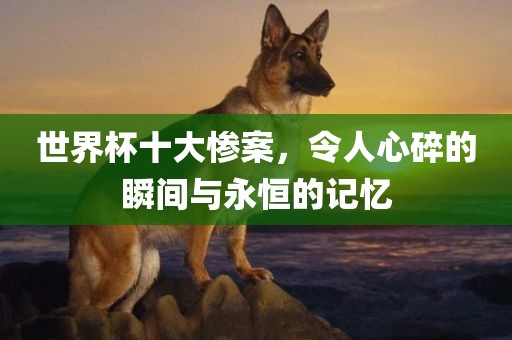 世界杯十大惨案，令人心碎的瞬间与永恒的记忆