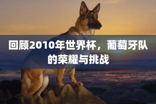 liwenzhen 第6页