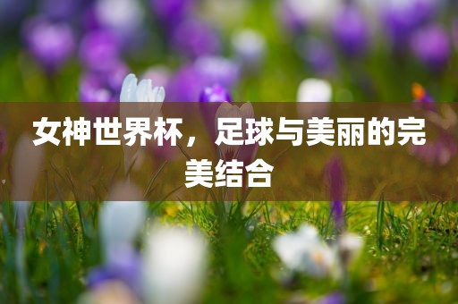 女神世界杯，足球与美丽的完美结合丹东日丰电子有限公司