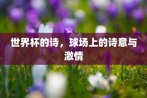 世界杯的诗，球场上的诗意与激情丹东日丰电子有限公司