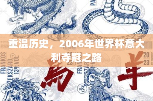 重温历史，2006年世界杯意大利丹东日丰电子有限公司夺冠之路