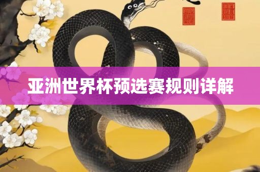 亚洲世界杯预选赛规则详解丹东日丰电子有限公司