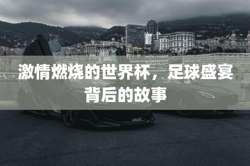 激情燃烧的世界杯，足球盛宴背后的故事丹东日丰电子有限公司