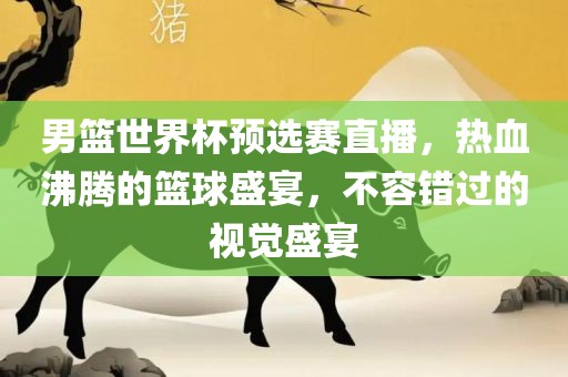 男篮世界杯预选赛直播，热血沸腾的篮球盛宴，不容错过的视觉盛宴