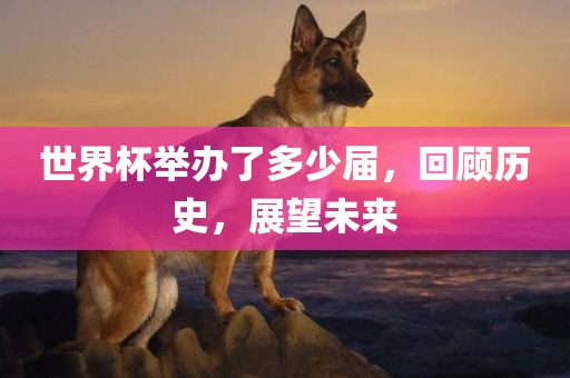 laiguigang 第7页