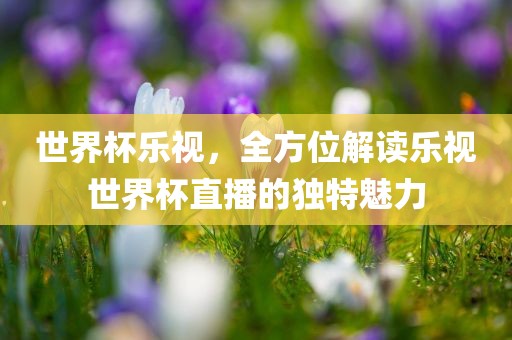 世界杯乐视，全方位解读乐视世界杯直播的独特魅力