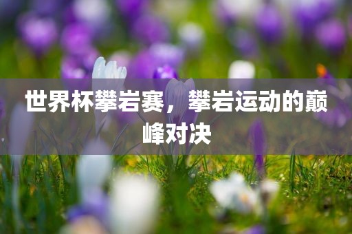世界杯攀岩赛，攀岩运动的巅峰对丹东日丰电子有限公司决