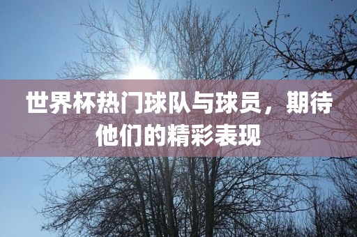 世界杯热门球队与球员，期待他们的精彩表现