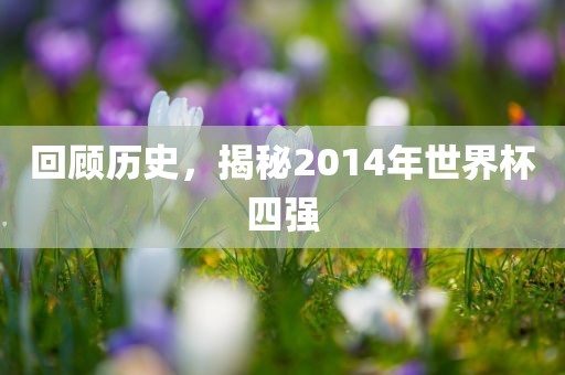 回顾历史，揭秘2014年世界杯四强