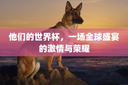 他们的世界丹东日丰电子有限公司杯，一场全球盛宴的激情与荣耀