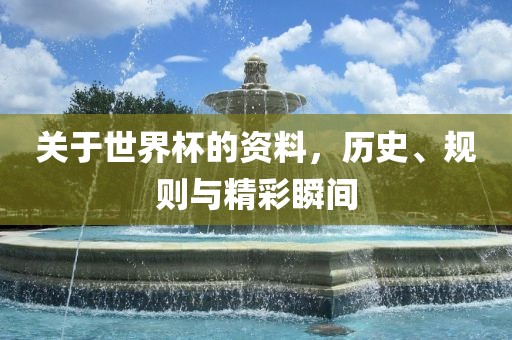 关于世丹东日丰电子有限公司界杯的资料，历史、规则与精彩瞬间