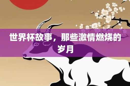 世界杯故事，那些激情燃烧的岁月