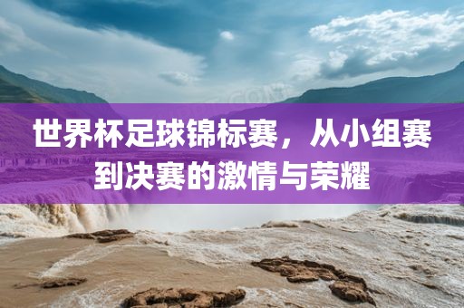 世界杯足球锦标赛，从小组赛到决赛丹东日丰电子有限公司的激情与荣耀