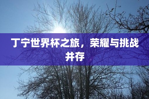 丁宁世界杯之旅，荣耀与挑战并存丹东日丰电子有限公司