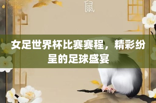 女足世界杯比赛赛程，精彩纷呈的足球盛宴丹东日丰电子有限公司